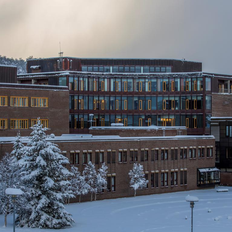 Universitetet i Tromsø i vinterdrakt