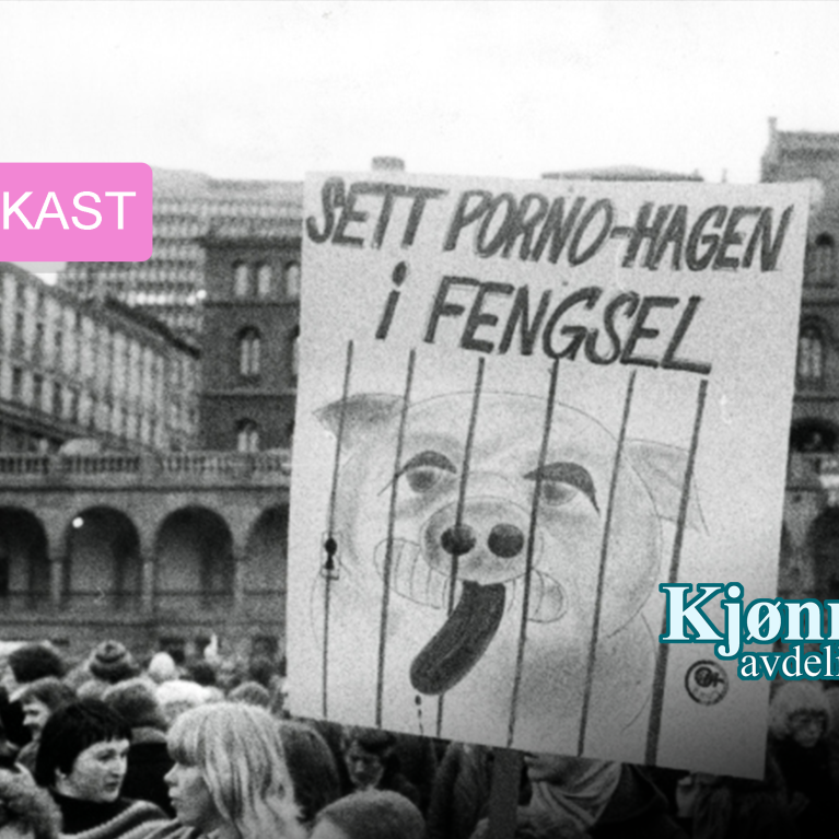 Bildet viser en demonstrasjon der feminister holder en plakat der det står "Sett porno-Hagen i fengsel" og tegning av en gris i bur 